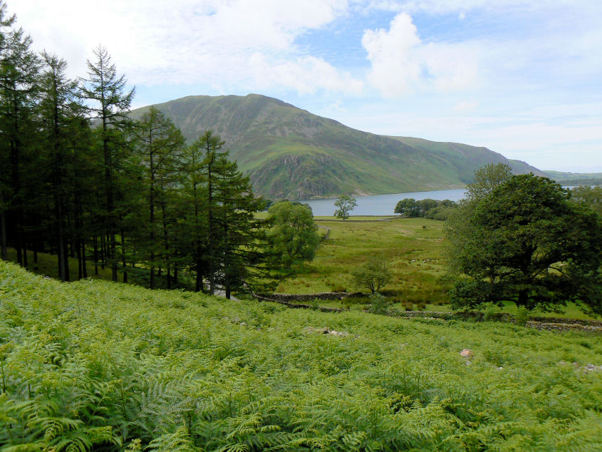 Crag Fell