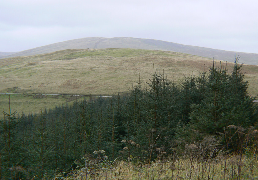 Swarth Fell