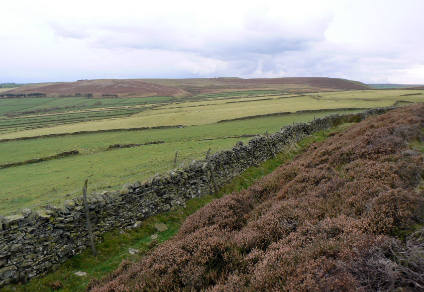 Abney Moor