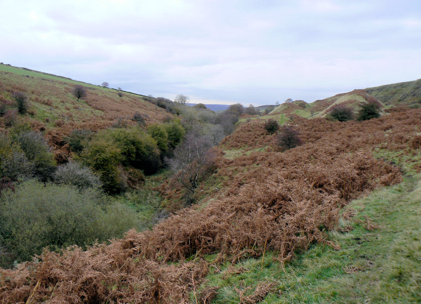 Bretton Clough