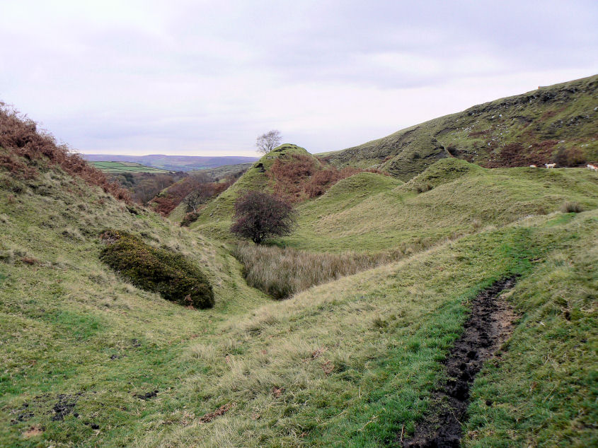 Bretton Clough