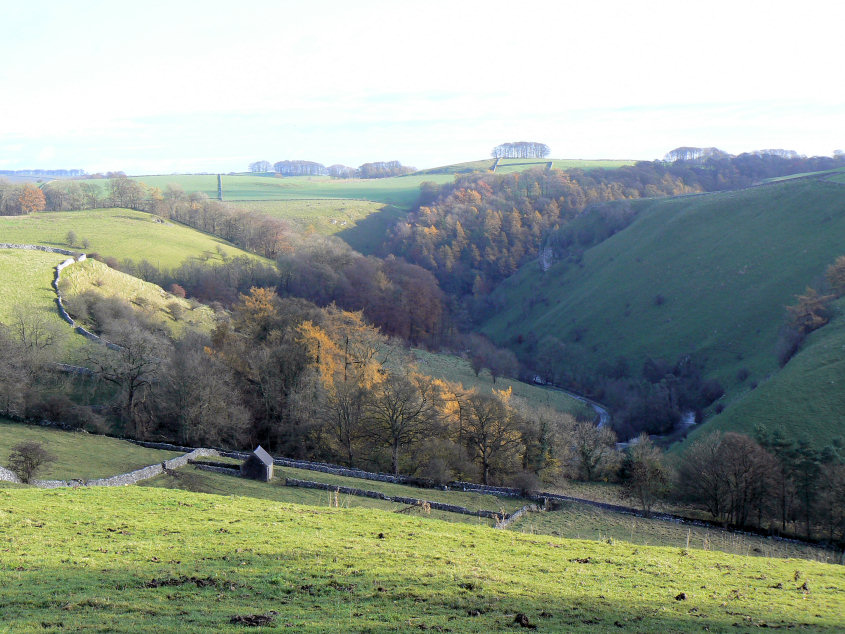 Mill Dale