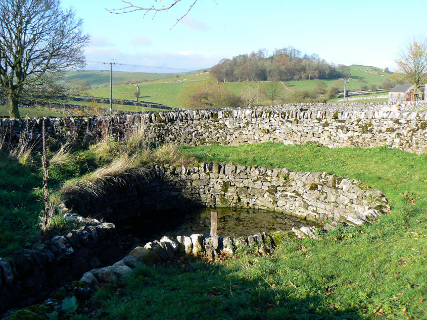 Alstonefield's Green Well