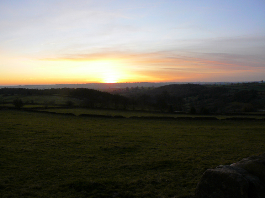 Handley Wood