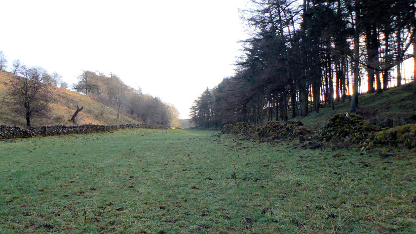 Bolderstone Plantation