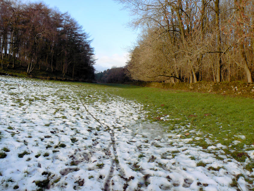 Bolderstone Plantation