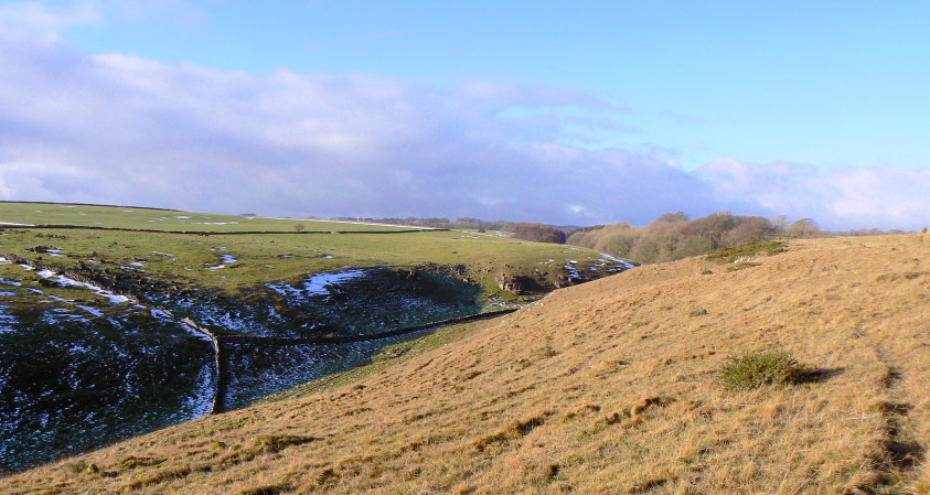 Long Dale