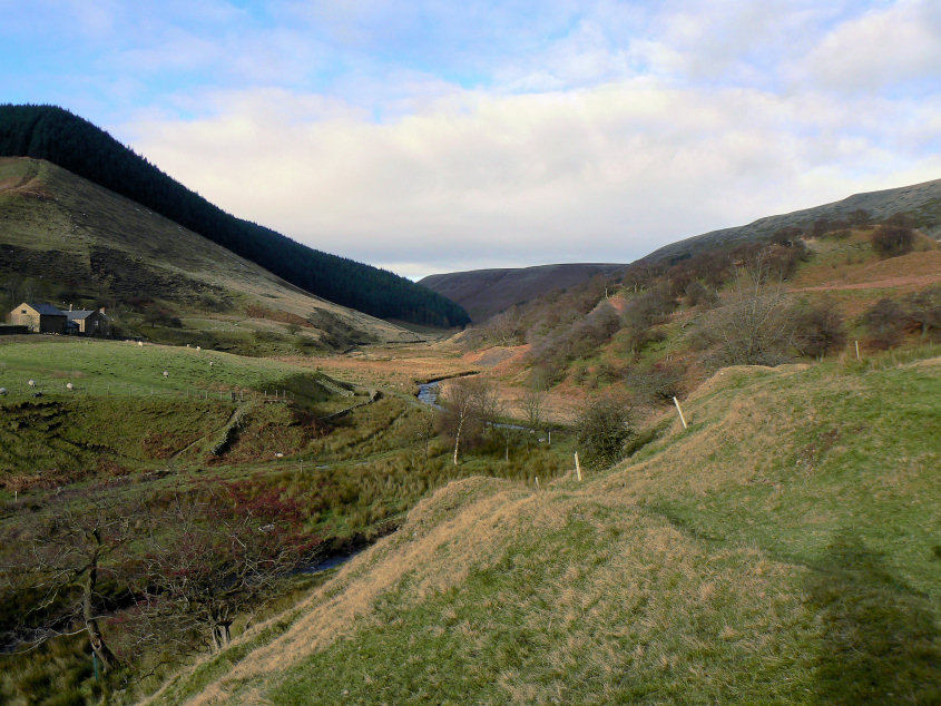 Alport Dale