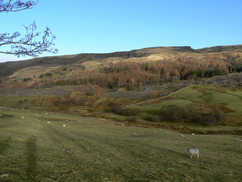 Alport Castles