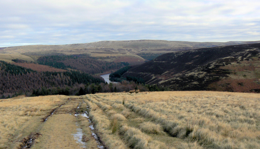 Derwent Reservoir