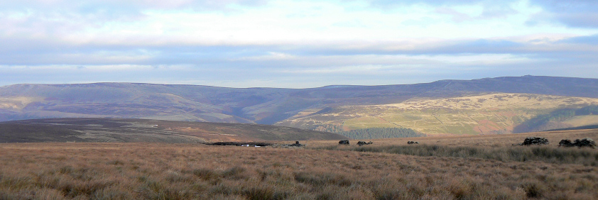 Howden Edge