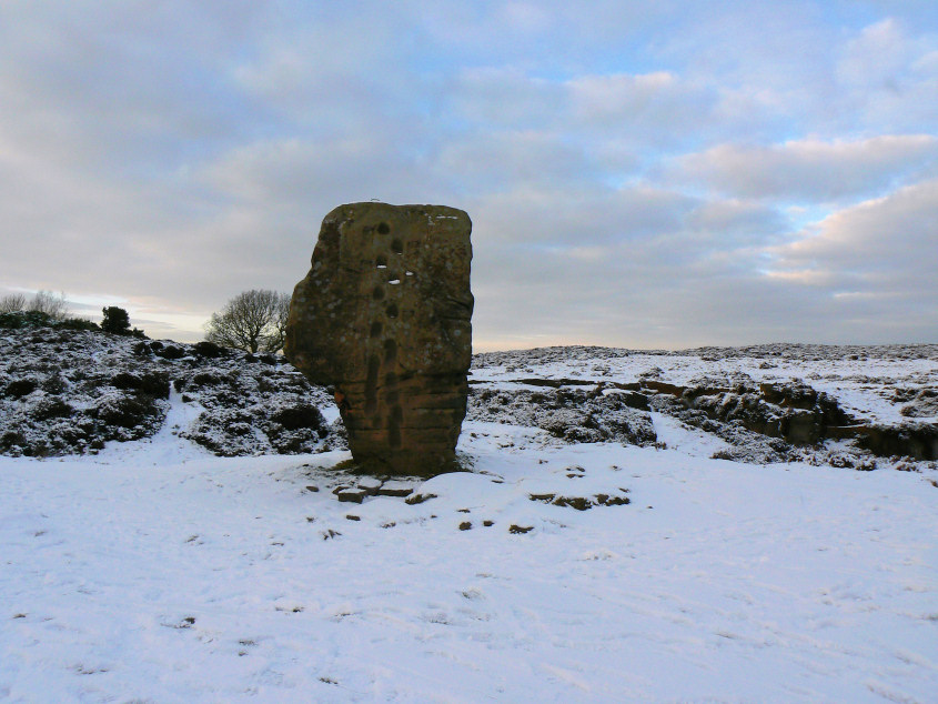 Cork Stone