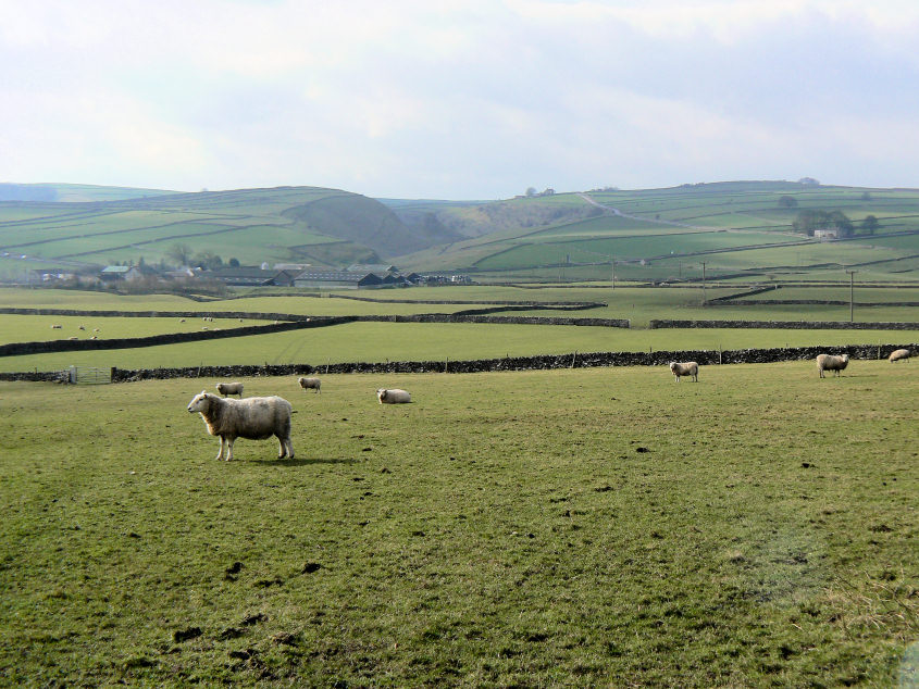 Cressbrook Dale