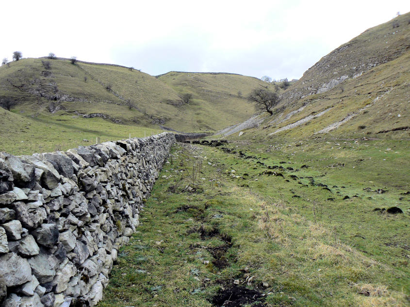 Cressbrook Dale