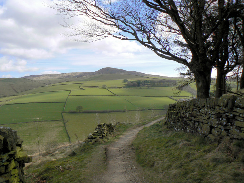 Kinder Low