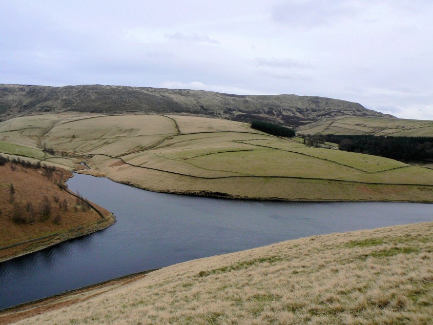 Kinder Low