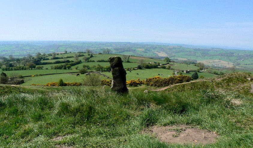 Alport Stone