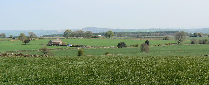 Crich Stand