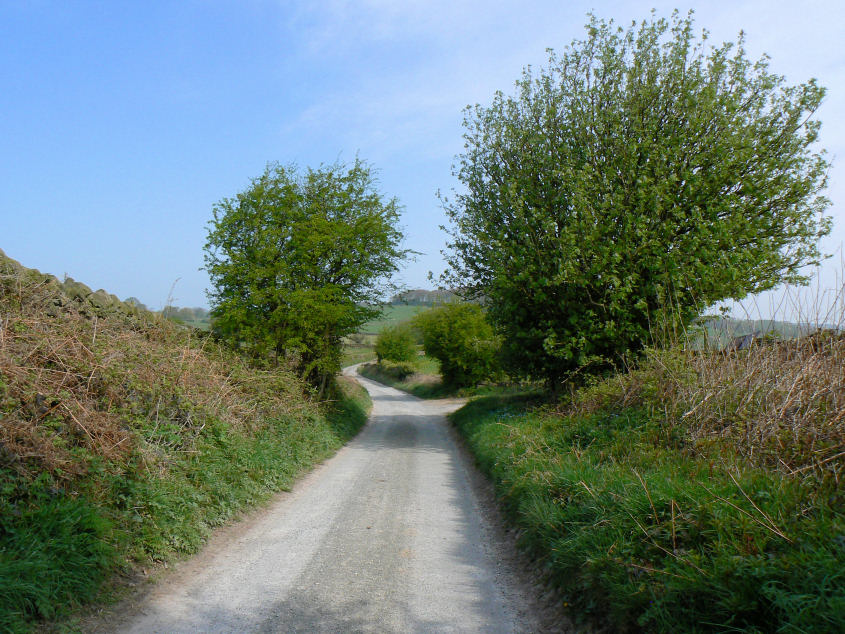 Longwalls Lane