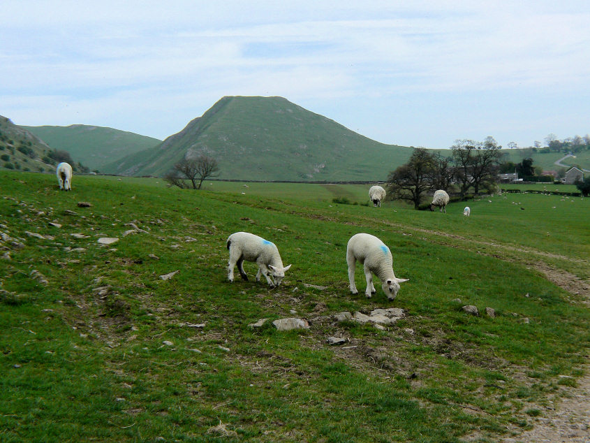 Thorpe Cloud