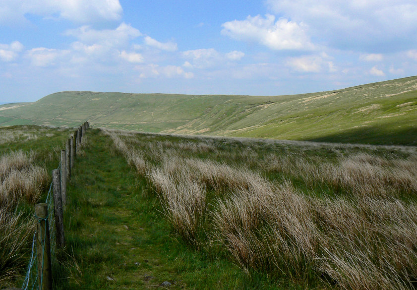 Cat's Tor