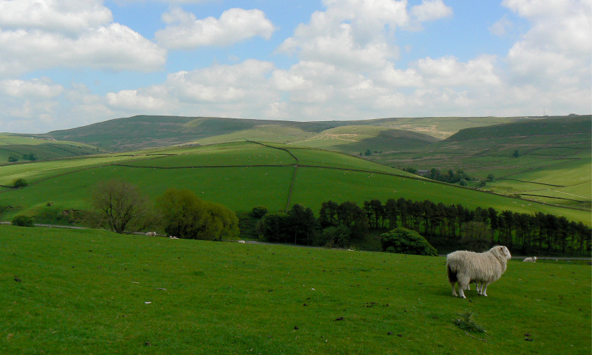 Shining Tor