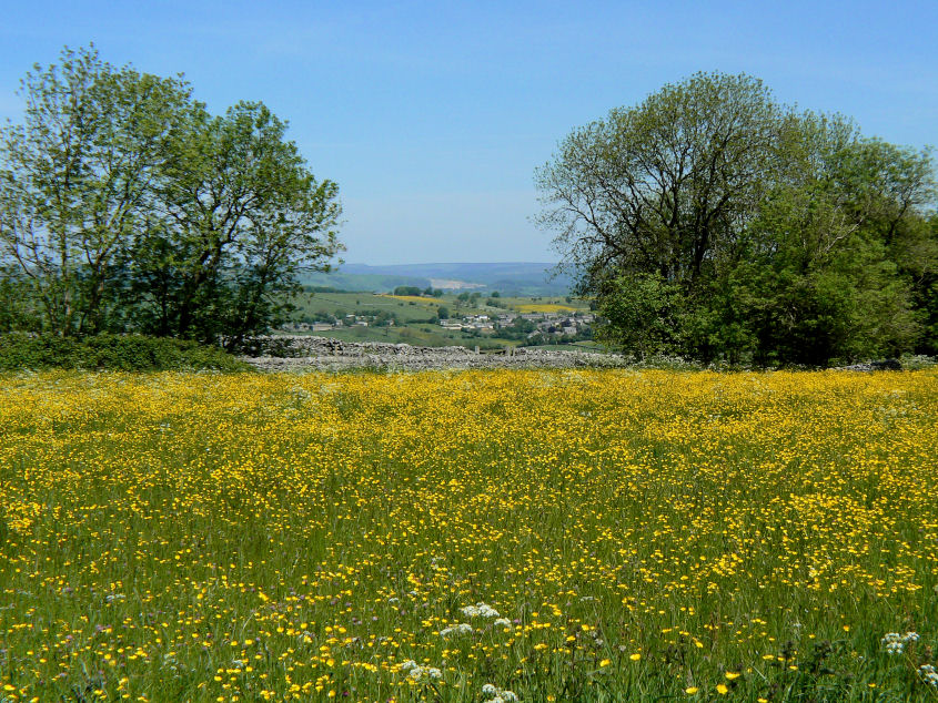 Over Haddon