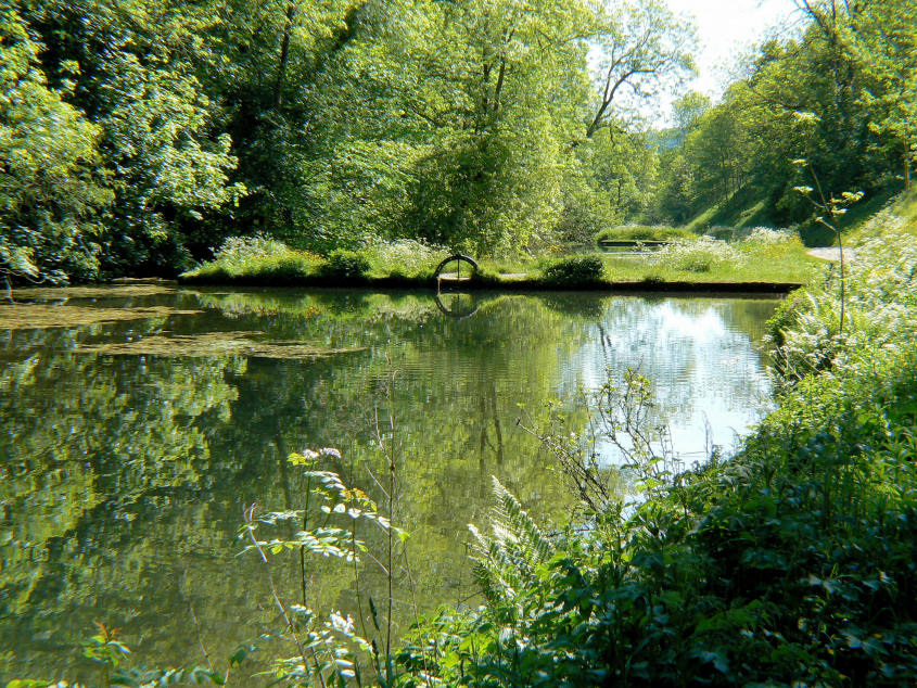 Fish ponds