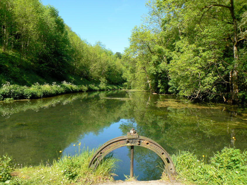 Bradford Dale