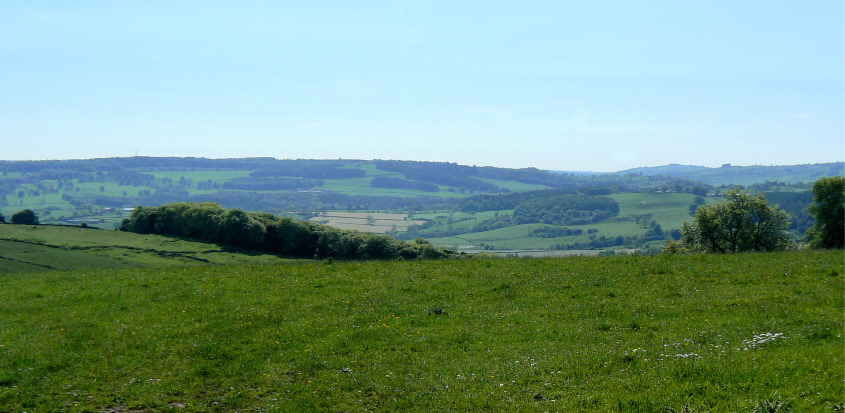 Stanton Moor