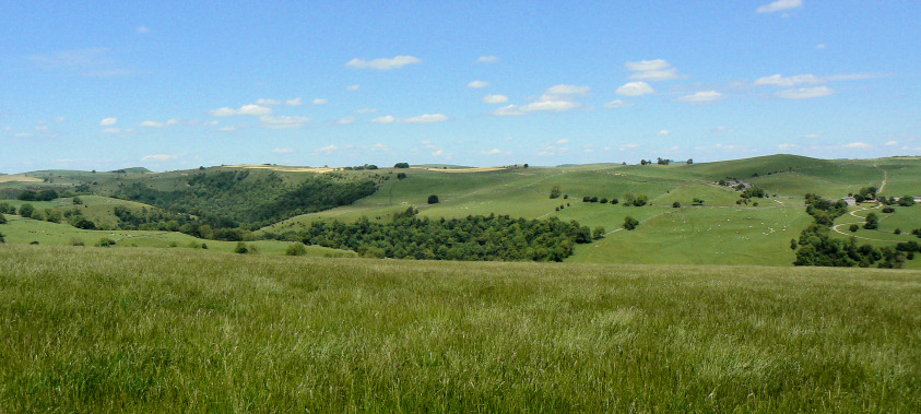 Castern Wood