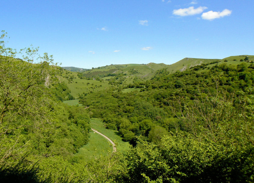 Manifold Valley