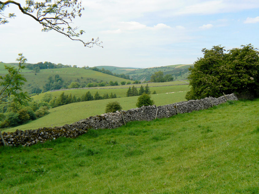 Manifold Valley