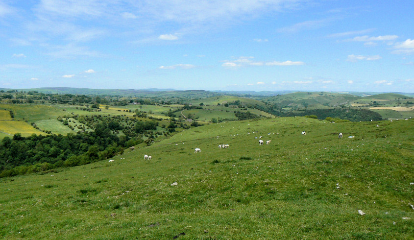 Manifold Valley