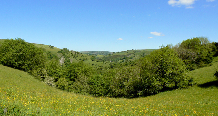 Manifold Valley