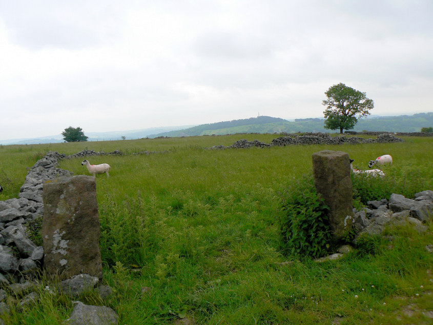 Cromford Moor