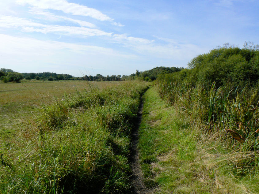 Canal Towpath