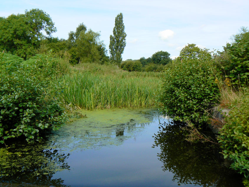 Cromford Canal