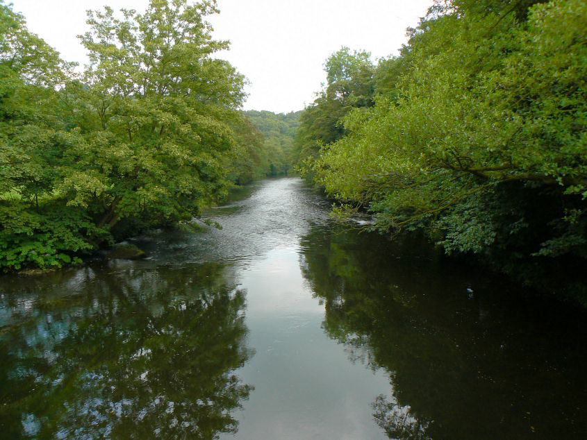 River Derwent