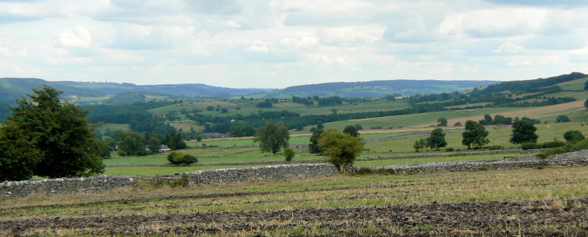 Stanton Moor