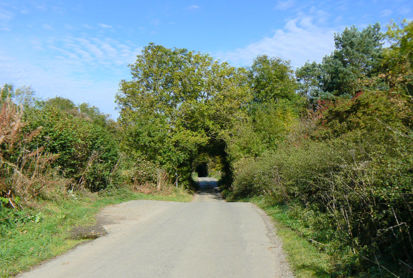 Stainsbro Lane