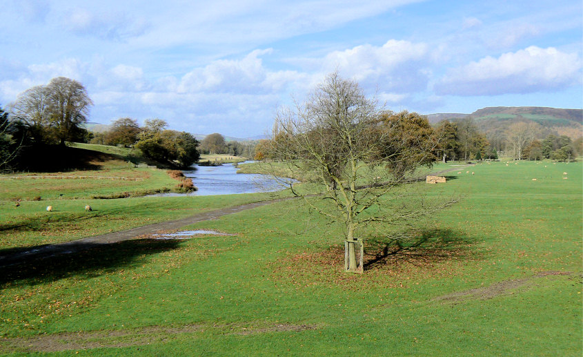 River Derwent