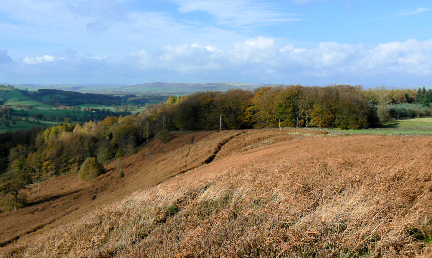 Longstone Edge