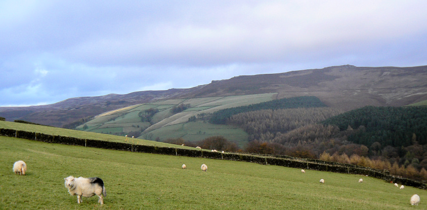 Derwent Edge