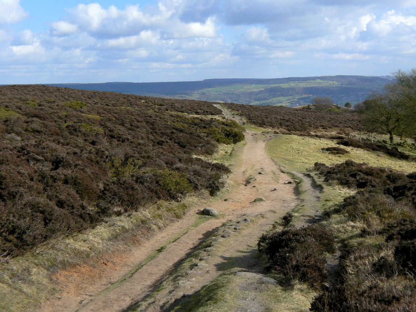 Farley Moor