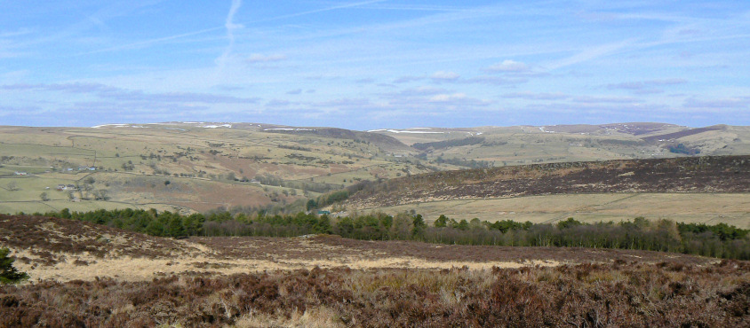 Towards Cheeks Hill