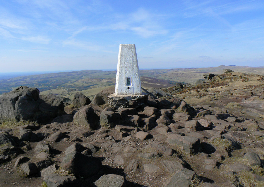 Roaches' trig