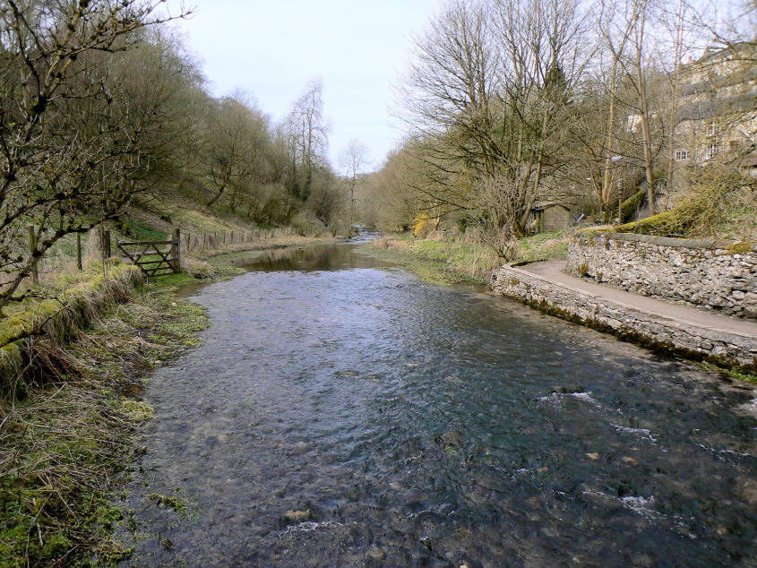 Bradford Dale