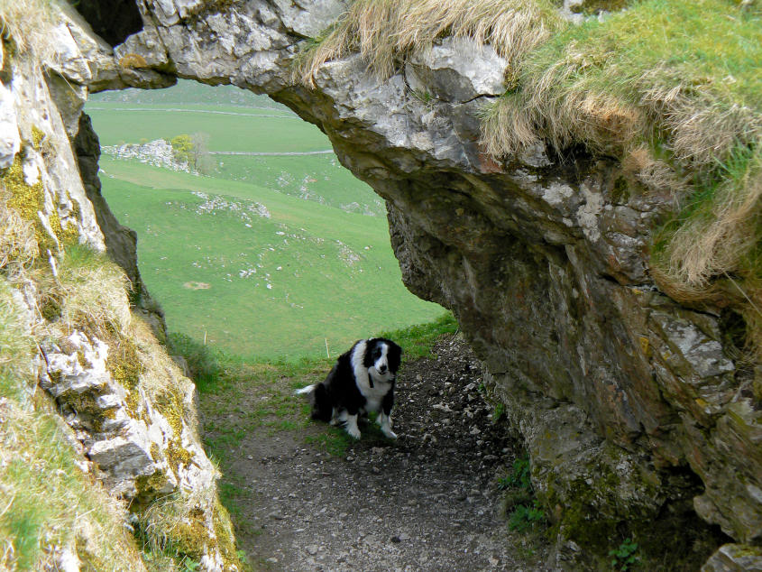 Chrome Hill