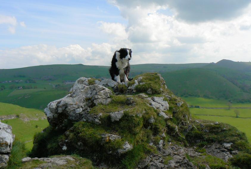 Parkhouse Hill's summit